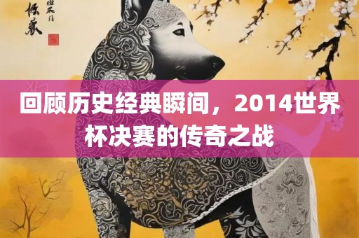 回顾历史经典瞬间，2014世界杯决赛的传奇之战
