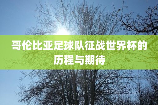哥伦比亚足球队征战世界杯的历程与期待漯河市盈旭机械设备有限公司