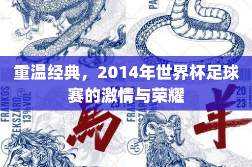 重温经典，2014年世界杯足球赛的激情与荣耀