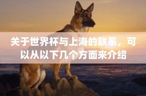 关于世界杯与上海的联系，可以从以下几个方面来介绍