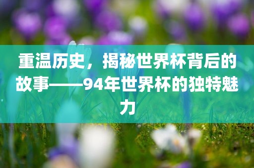 重温历史，揭秘世界杯背后的故事——94年世界杯的独特魅力