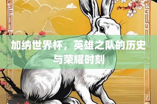 加纳世界杯，英雄之队的历史与荣耀时刻