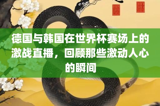 德国与韩国在世界杯赛场上的激战直播，回顾那些激动人心的瞬间