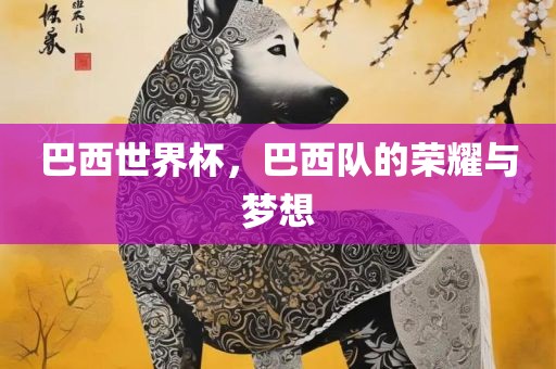 巴西世界杯，巴西队的荣耀与梦想