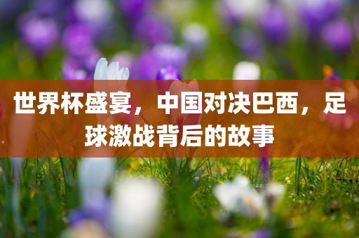 世界杯盛宴，中国对决巴西，足球激战背后的故事