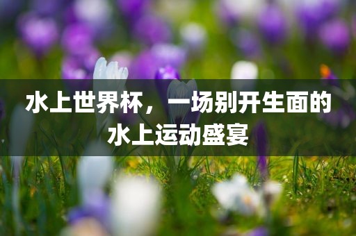 水上世界杯，一场别开生面的水上运动盛宴