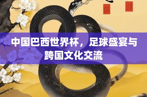 中国巴西世界杯，足球盛宴与跨国文化交流