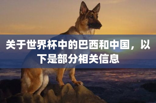 关于世界杯中的巴西和中国，以下是部分相关信息
