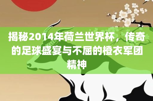 揭秘2014年荷兰世界杯，传奇的足球盛宴与不屈的橙衣军团精神
