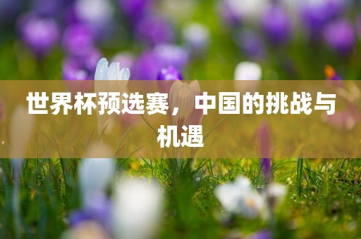 世界杯预选赛，中国的挑战与机遇