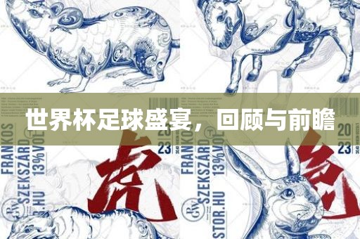 世界杯足球盛宴，回顾与前瞻
