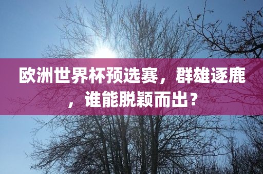 欧洲世界杯预选赛，群雄逐鹿，谁能脱颖而出？