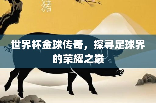 世界杯金球传奇，探寻足球界的荣耀之巅漯河市盈旭机械设备有限公司