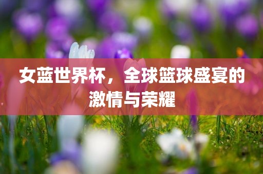 女蓝世界杯，全球篮球盛宴的激情与荣耀漯河市盈旭机械设备有限公司