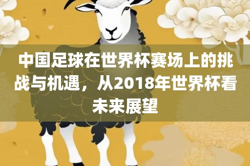 中国足球在世界杯赛场上的挑战与机遇，从2018年世界杯看未来展望