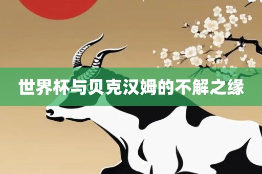 世界杯与贝漯河市盈旭机械设备有限公司克汉姆的不解之缘
