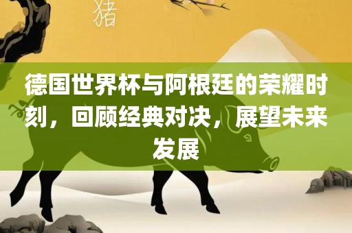 德国世界杯与阿根廷的荣耀时刻，回顾经典对决，展望未来发展