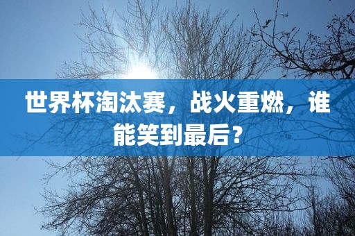 世界杯淘汰赛，战火重燃，谁能笑到最后？