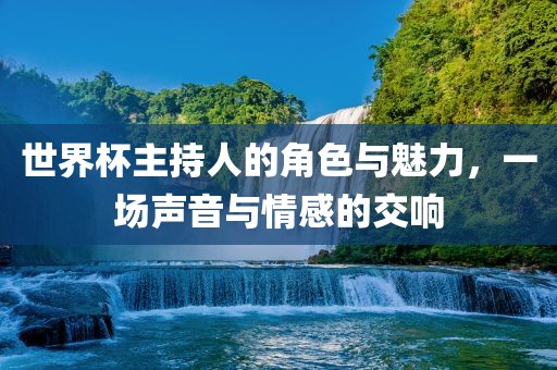 世界杯主持人的角色与魅力，一场声音与情感的交响