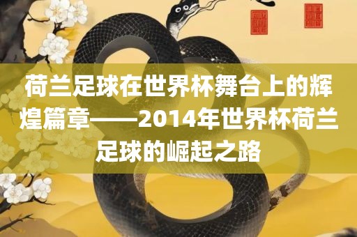 荷兰足球在世界杯舞台上的辉煌篇章——2014年世界杯荷兰足球的崛起之路