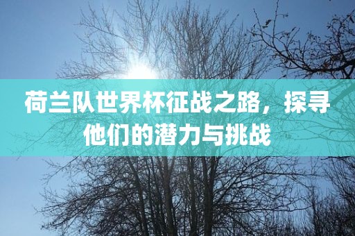 荷兰队世界杯征战之路，探寻他们的潜力与挑战