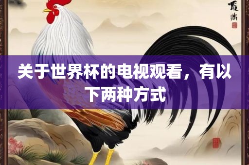 关于世界杯的电视观看，有以下两种方式