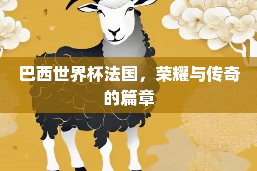 巴西世界杯法国，荣耀与传奇的篇章