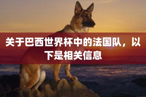 关于巴西世界杯中的法国队，以下是相关信息