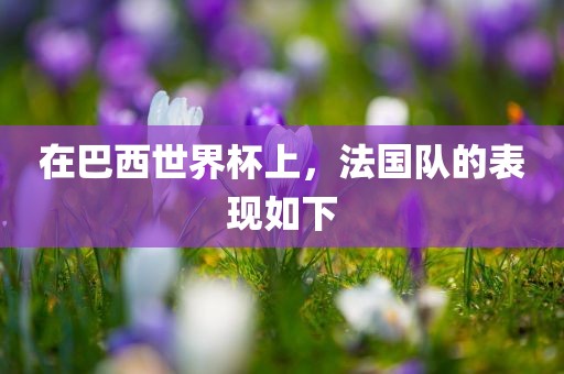 在巴西世界杯上，法国队的表现如下