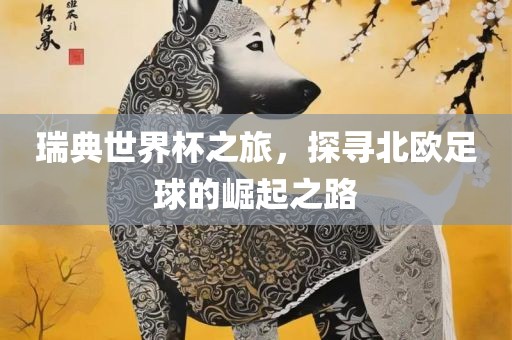 瑞典世界杯之旅，探寻北欧足球的崛起之路