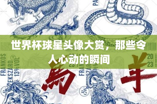 世界杯球星头像大赏，那些令人心动的瞬间