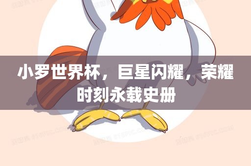 小罗世界杯，巨星闪耀，荣耀时刻永载史册