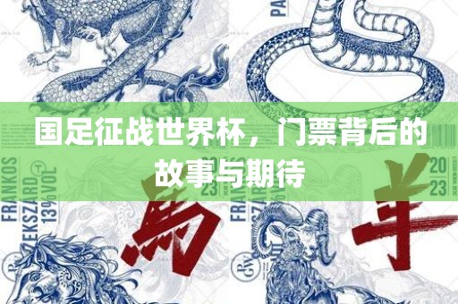 国足征战世界杯，门票背后的故事与期待