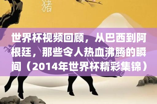 世界杯视频回顾，从巴西到阿根廷，那些令人热血沸腾的瞬间（2014年世界杯精彩集锦）