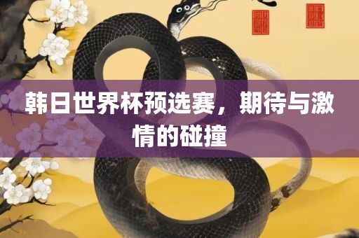 韩日世界杯预选赛，期待与激情的碰撞