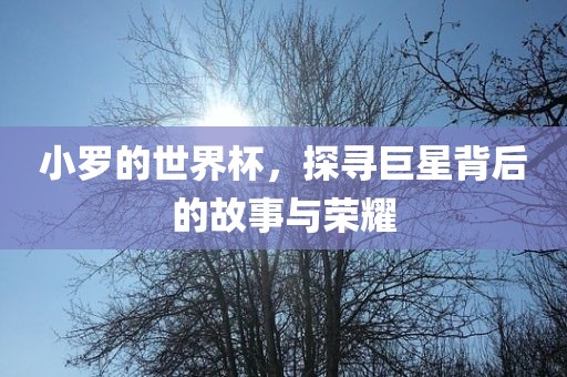 小罗的世界杯，探寻巨星背后的故事与荣耀漯河市盈旭机械设备有限公司