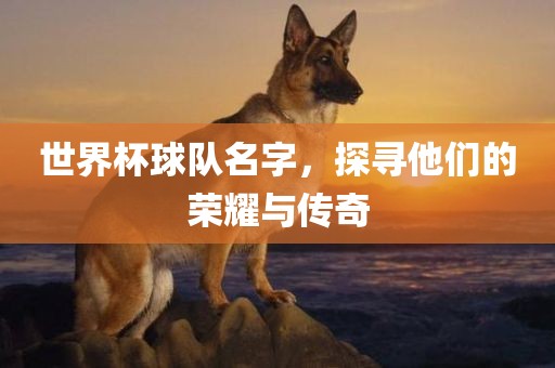 世界杯球队名字，探寻他们的荣耀与传奇