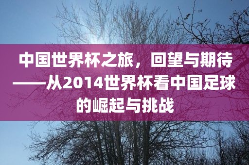 中国世界杯之旅，回望与期待——从2014世界杯看中国足球的崛起与挑战
