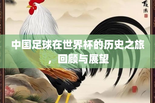 中国足球在世界杯的历史之旅，回顾与展望