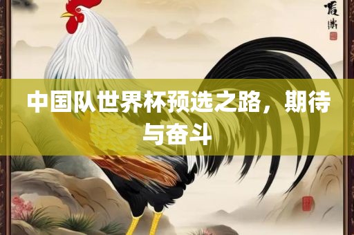 中国队世界杯预选之路，期待与奋斗