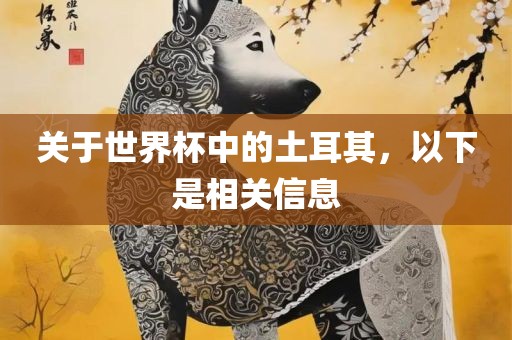 关于世界杯中的土耳其，以下是相关信息