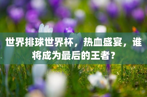 世界排球世界杯，热血盛宴，谁将成为最后的王者？