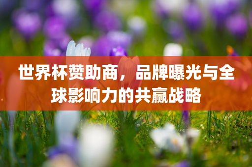 世界杯赞助商，品牌曝光与全球影响力的共赢战略