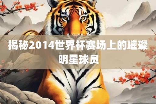 揭秘2014世界杯赛场上的璀璨明星球员漯河市盈旭机械设备有限公司