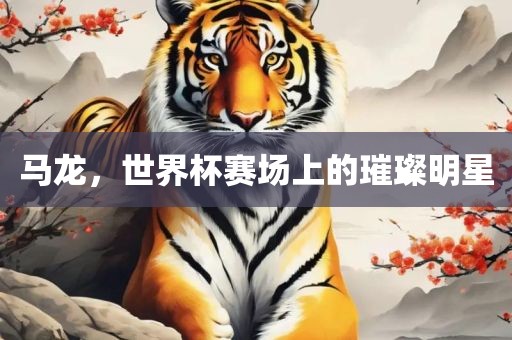马龙，世界杯赛场上的璀璨明星