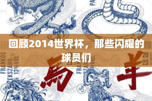 回顾2014世界杯，那些闪耀的球员们