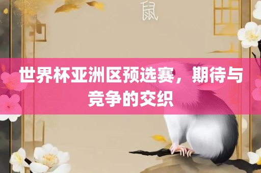 世界杯亚洲区预选赛，期待与竞争的交织