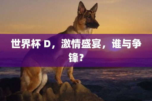 世界杯 D，激情盛宴，谁与争锋？
