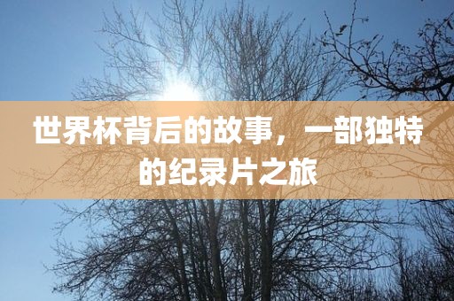 世界杯背后的故事，一部独特的纪录片之旅