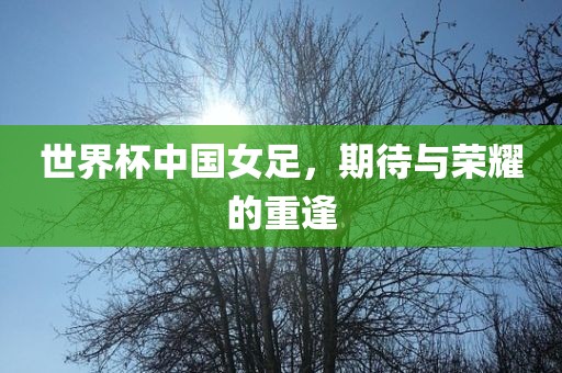 世界杯中国女足，期待与荣耀的重逢